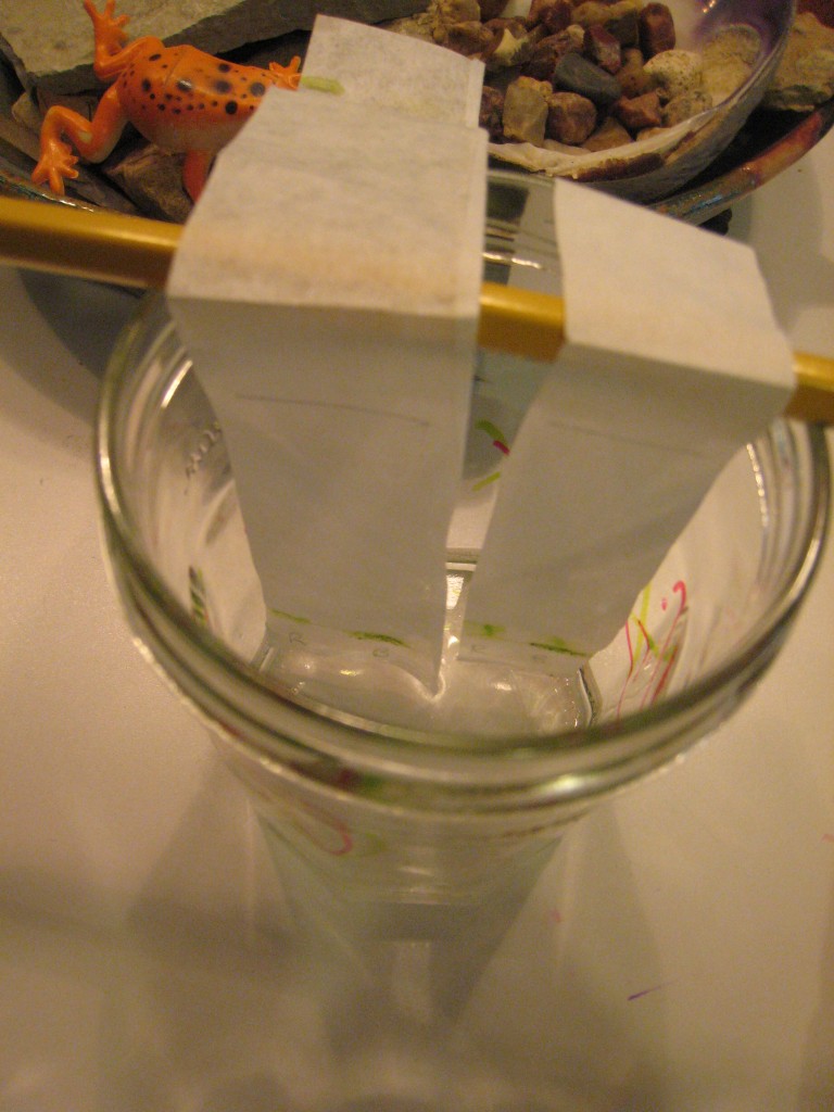 Plant Chromatography for Kids « The Kitchen Pantry Scientist