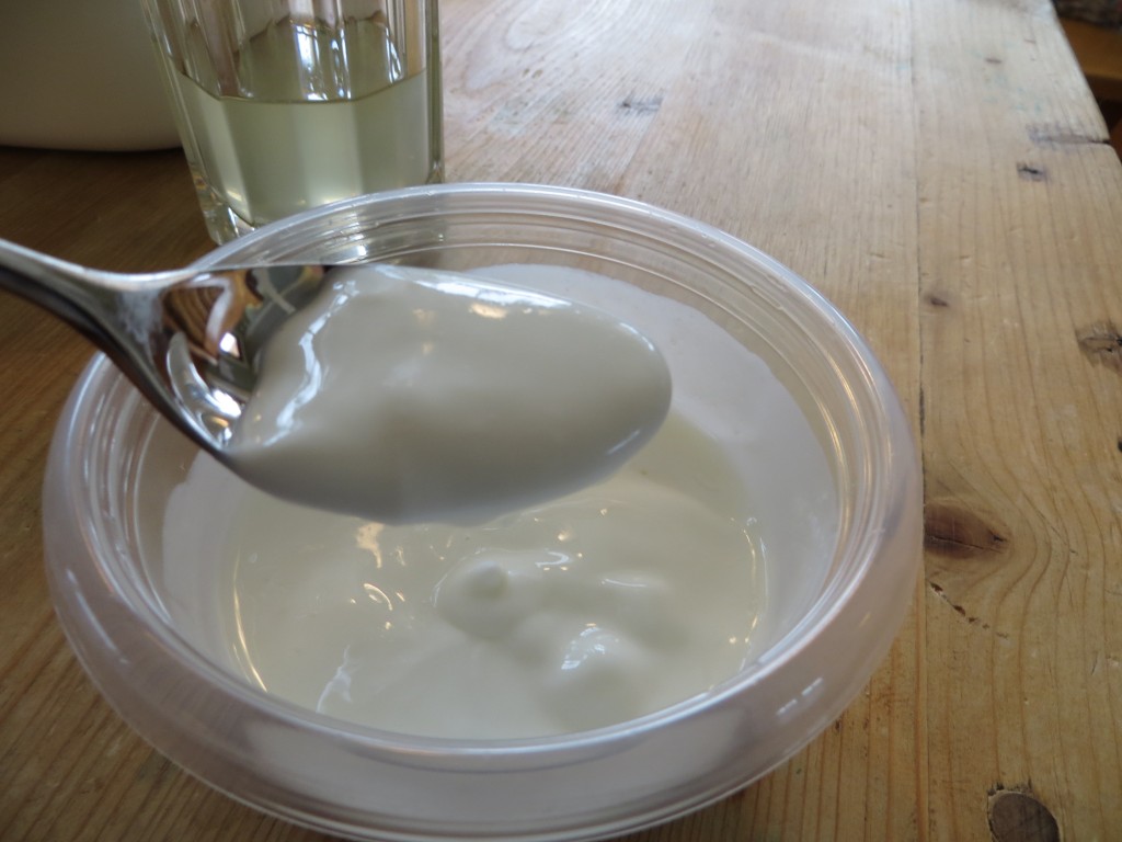 Crock Pot Microbiology Yogurt « The Kitchen Pantry Scientist