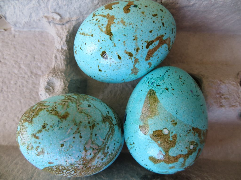 Oil-Marbled Eggs